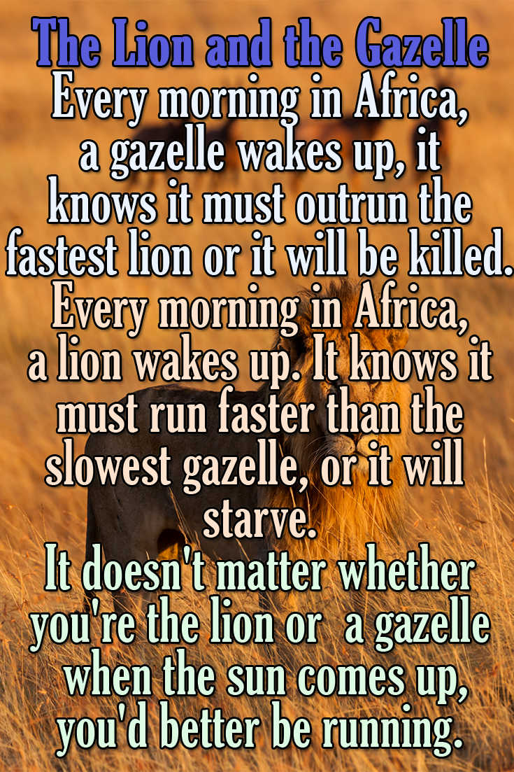 The Lion and the Gazzele